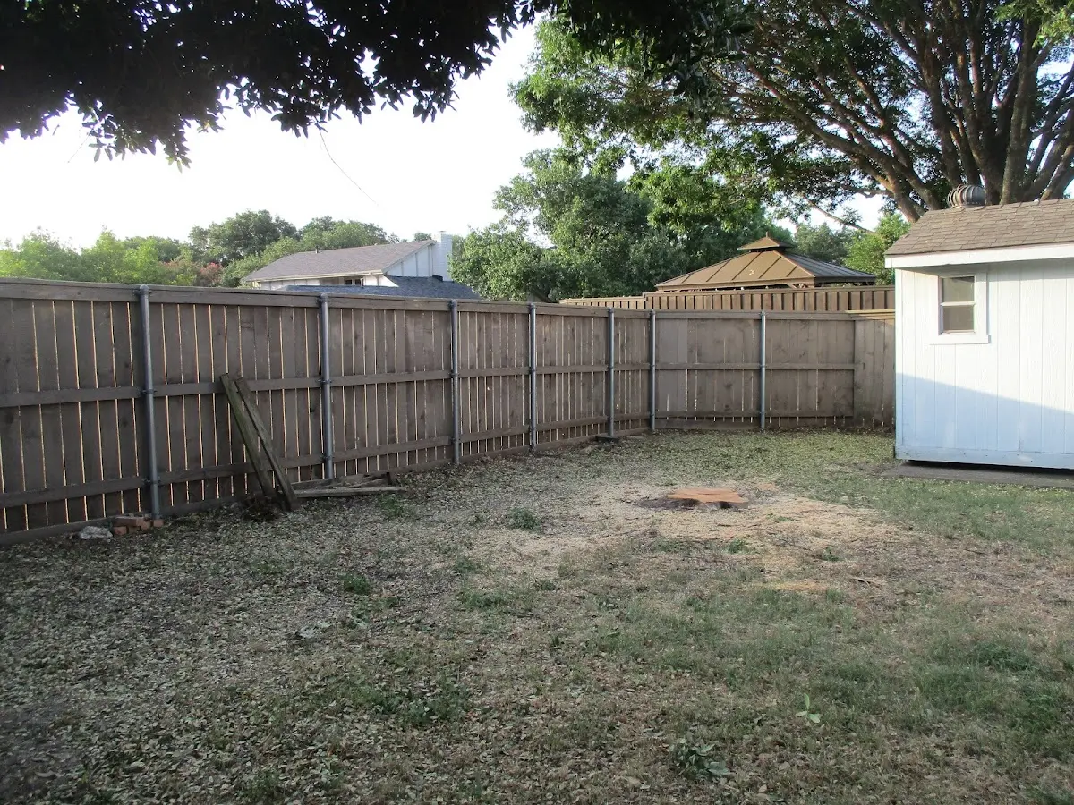 Cleared yard after professional tree removal in Tolland